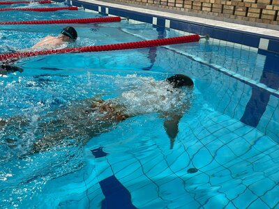 Poznáme víťazov Majstrovstiev SvF v plávaní