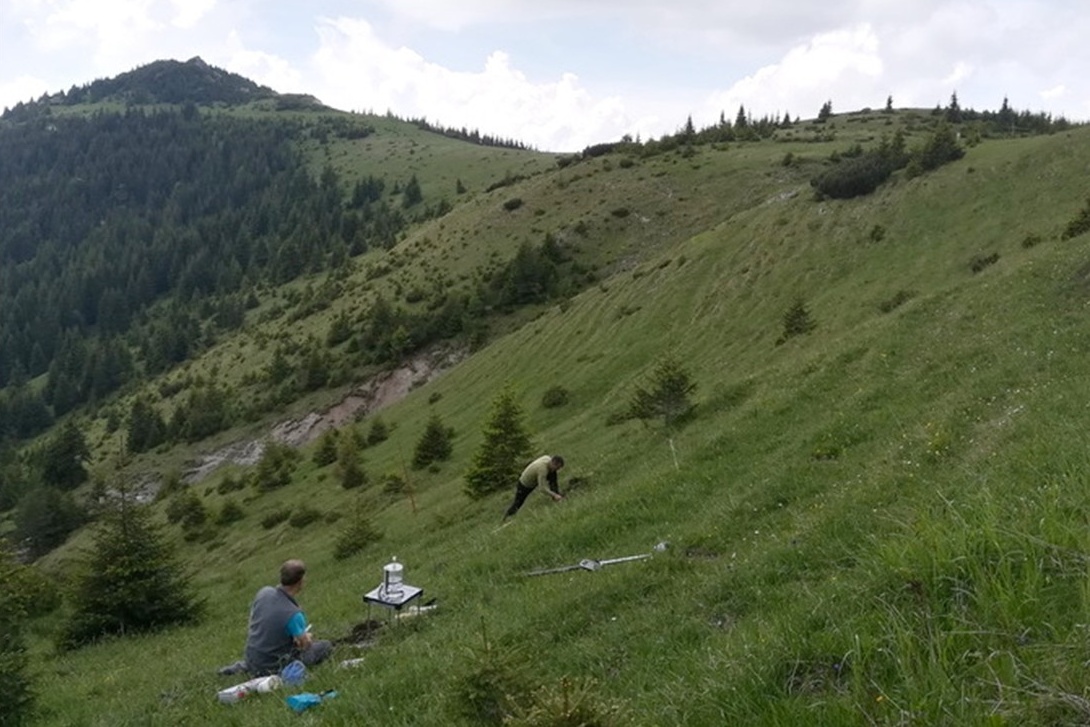 Dopad prírodných rizík na lesné ekosystémy Slovenska v meniacich sa klimatických podmienkach